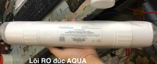 Lõi lọc nước RO đúc ( AQUA)